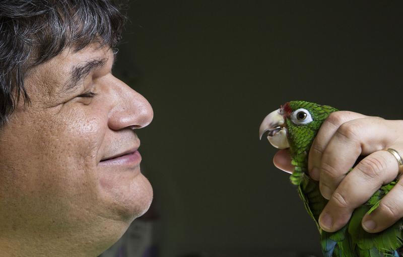 Puerto Rico: Island of Enchantment, BBC Two – 'conservationists to the